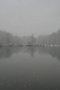 Pine Lake - 12 Feb 2010