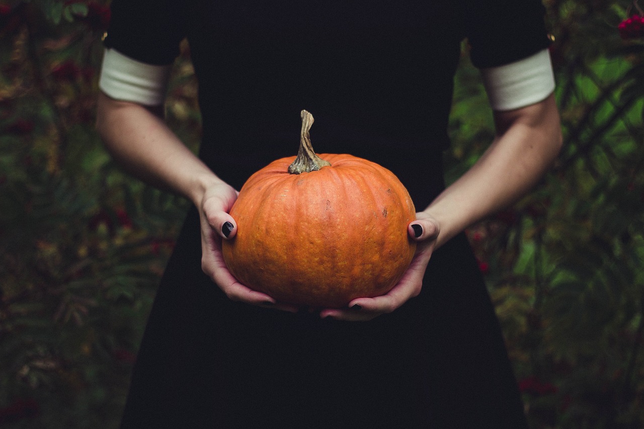 woman, pumpkin, thanksgiving-1838545.jpg